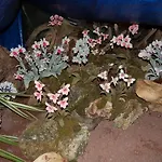 On The Island Διαμέρισμα *