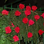 Διαμέρισμα On The Island *